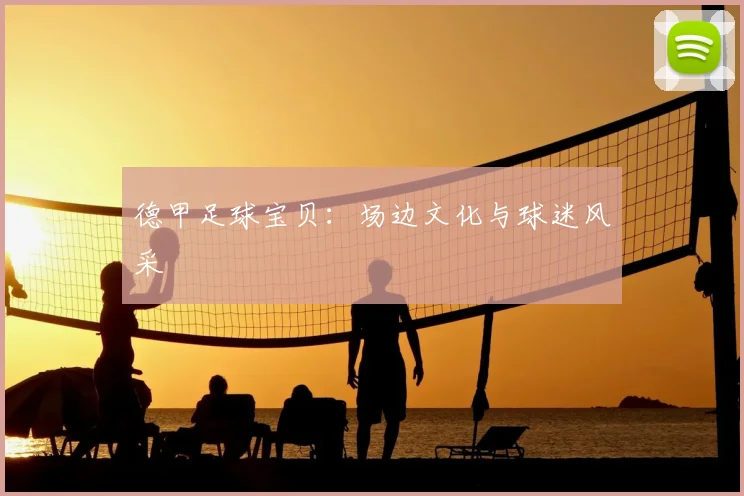 德甲足球宝贝：场边文化与球迷风采