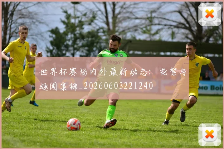 世界杯赛场内外最新动态:花絮与趣闻集锦_20260603221240