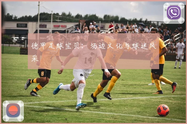德甲足球宝贝：场边文化与球迷风采